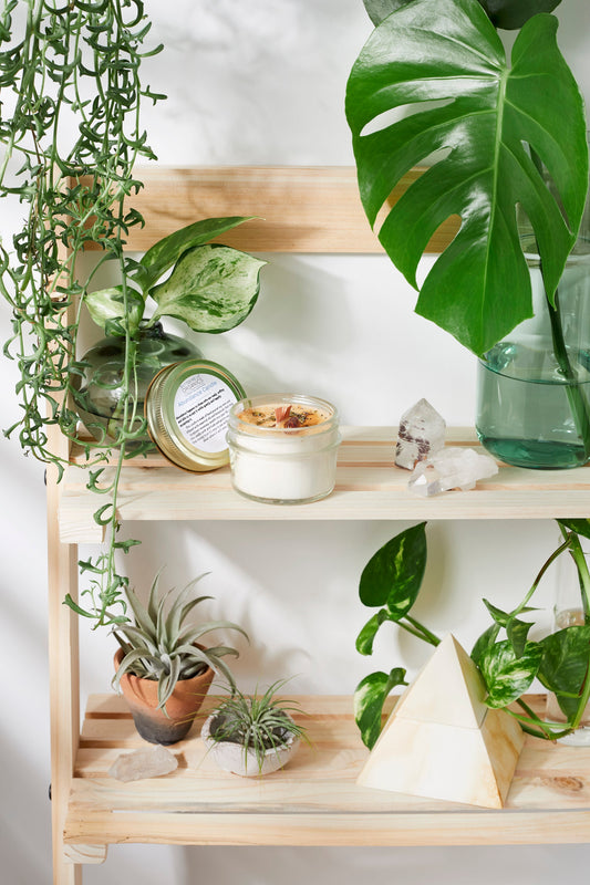 Handmade flower candle on a wooden self with plants