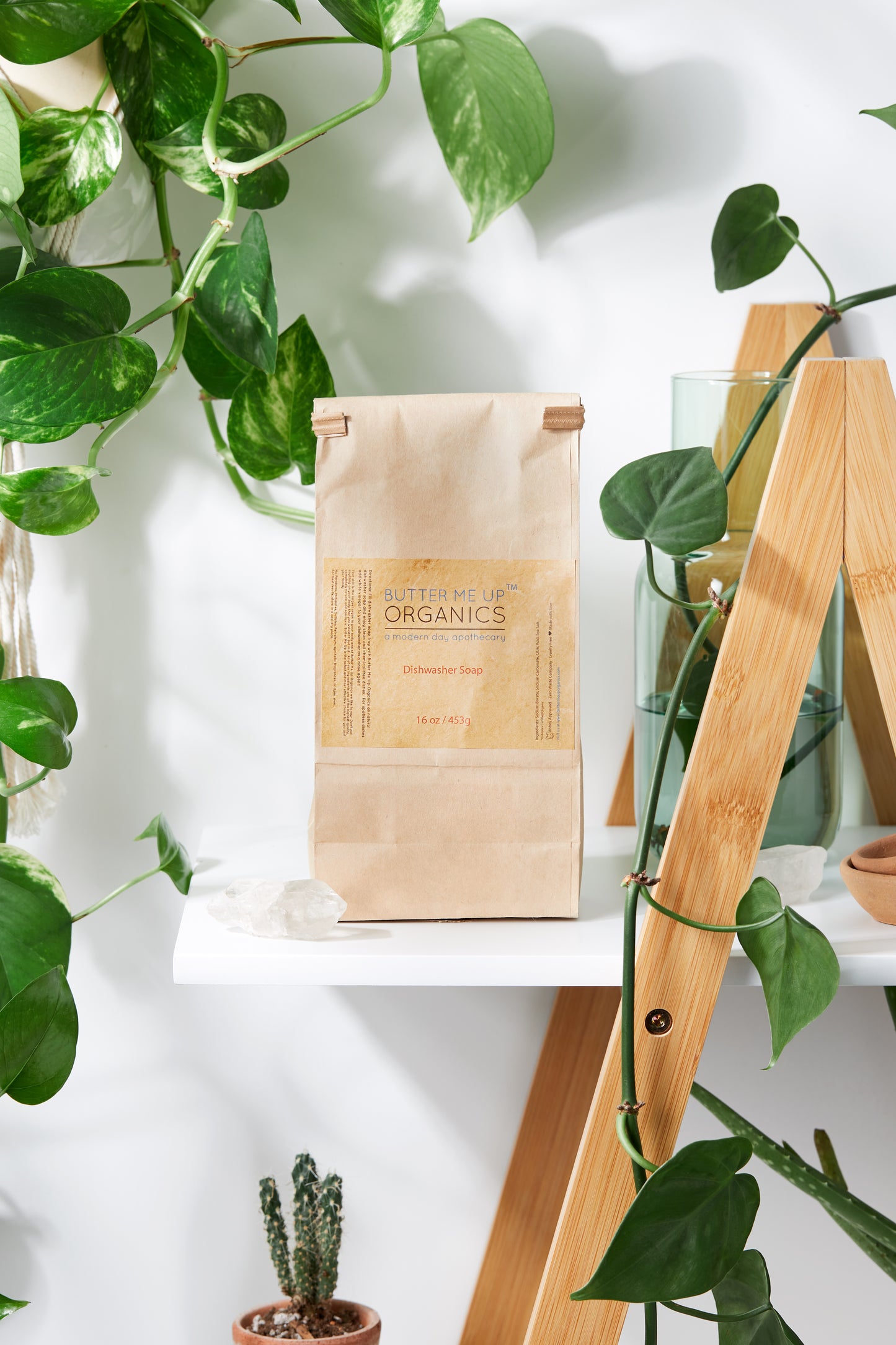 Paper Bag of dishwasher soap on a shelf with plants