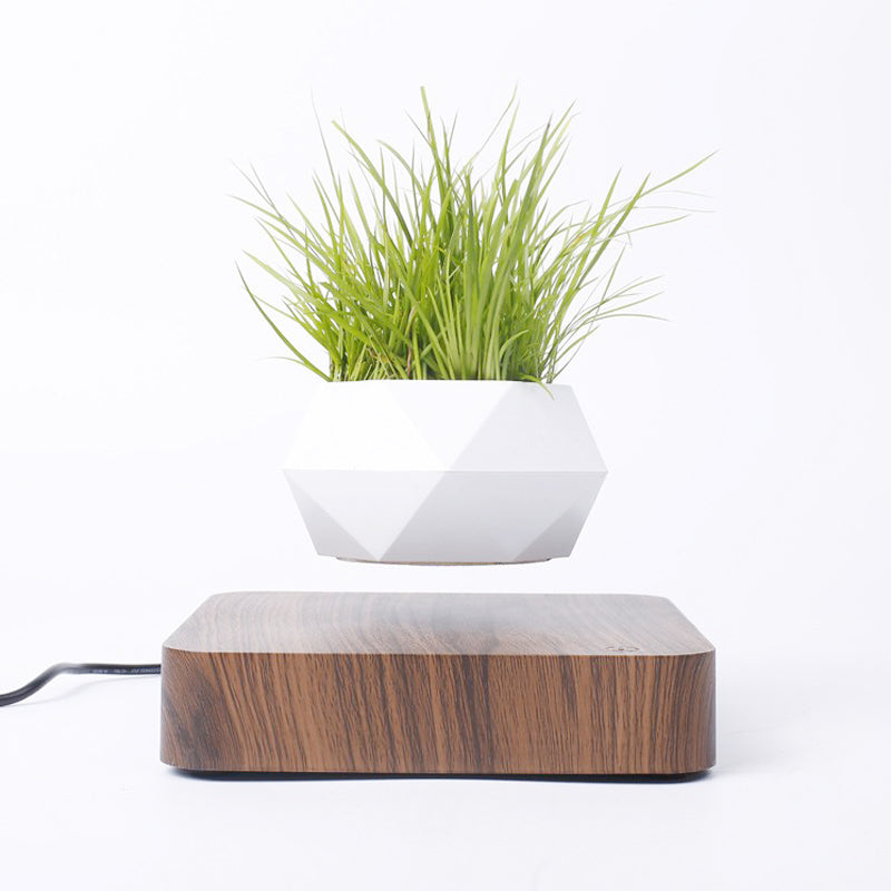 White Plant pot levitating on a wooden board