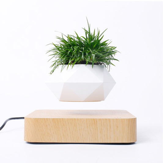 White Plant pot levitating on a wooden board