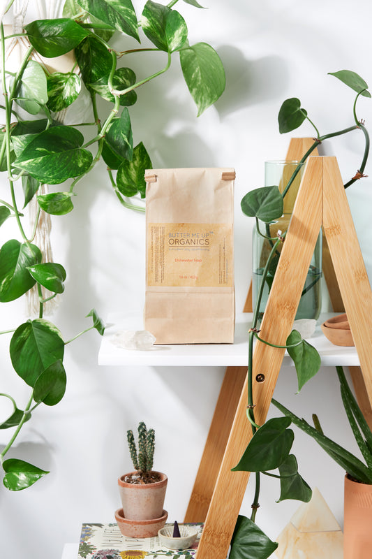 Paper Bag of dishwasher soap on a shelf with plants