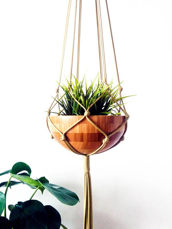 Brown Macrame hanging plant pot, with a plant