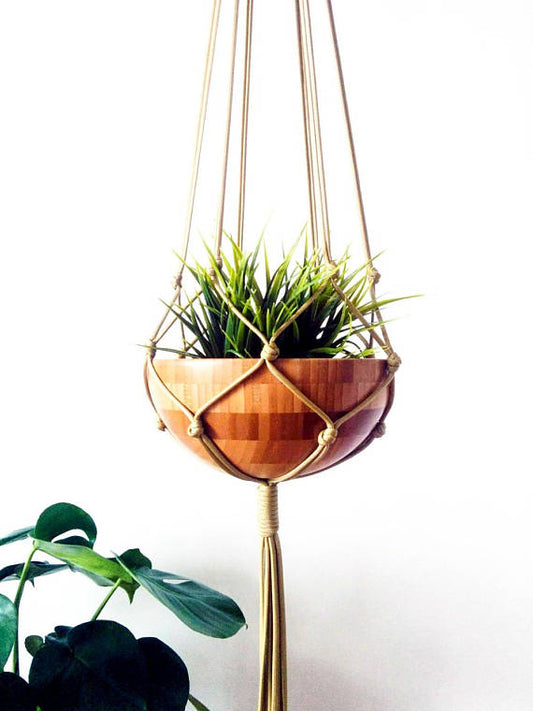 Brown Macrame hanging plant pot, with a plant