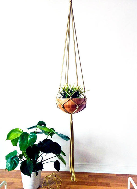 Macrame hanging plant pot, with a plant